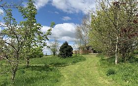 Woodpecker Lodge- A Pet Friendly Rural Retreat